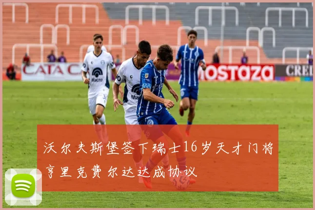 沃尔夫斯堡签下瑞士16岁天才门将亨里克费尔达达成协议