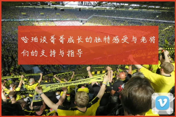 哈珀谈哥哥成长的独特感受与老将们的支持与指导
